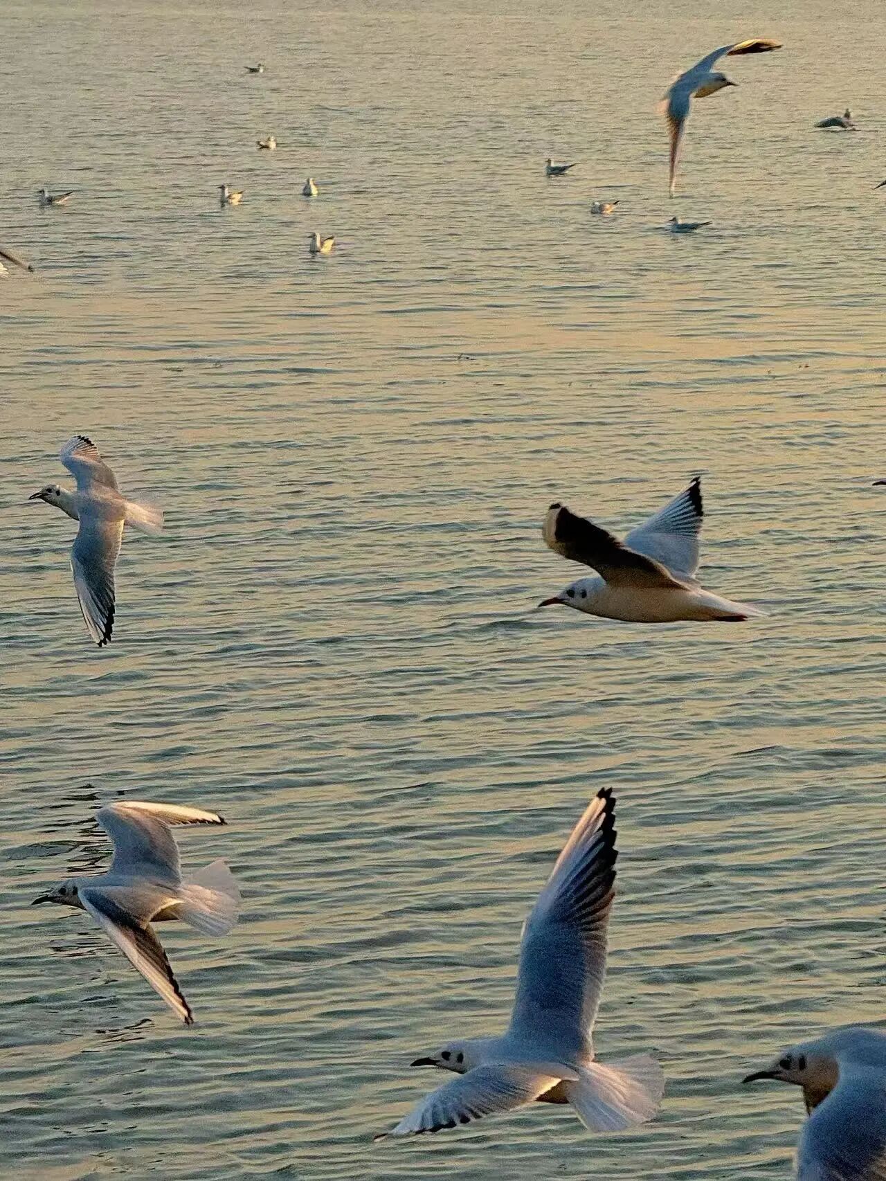 秋骑限定！解锁西山岛治愈骑行路线～