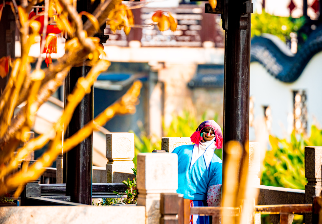 甪直“晒冬”，主打一个快乐又松弛~