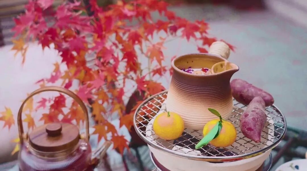 甪直“晒冬”，主打一个快乐又松弛~