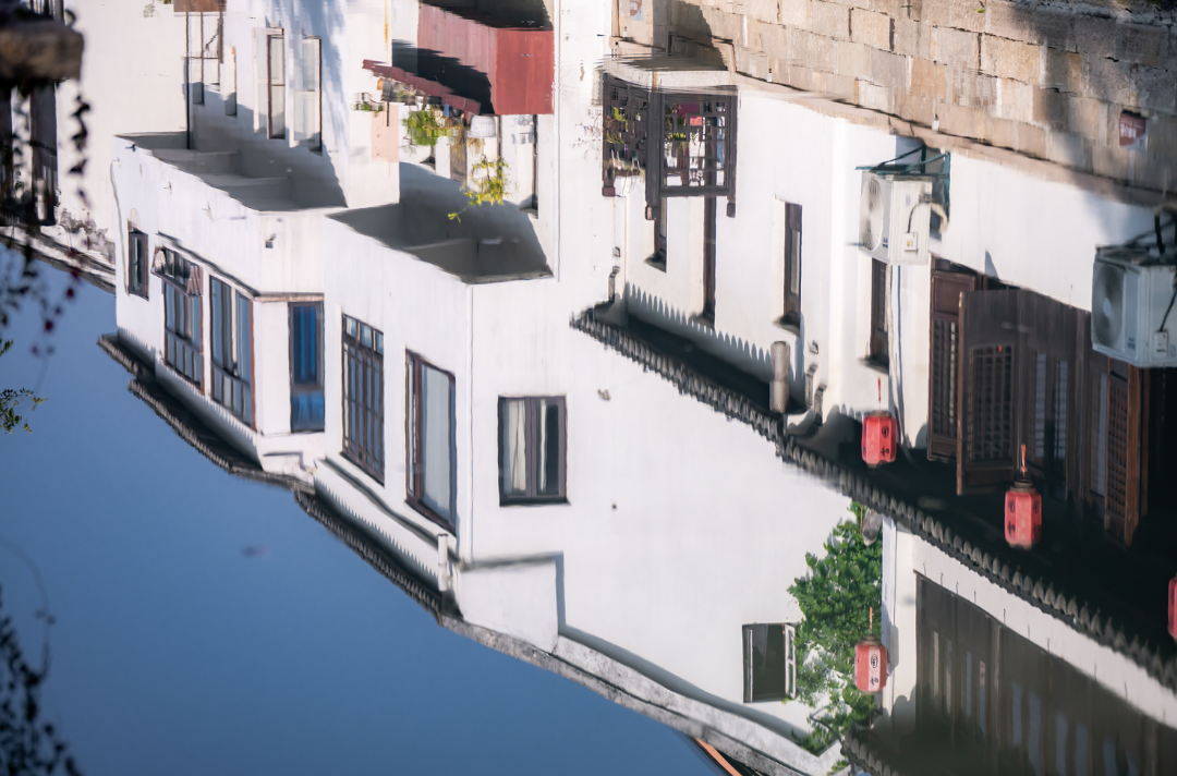 甪直“晒冬”，主打一个快乐又松弛~