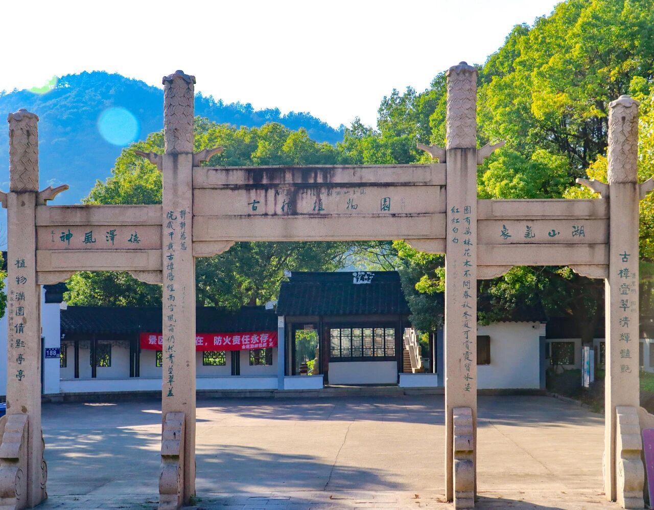 去趟古樟园吧，趁秋色正好~