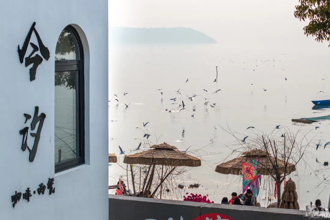 《吴中观鸟地图》来啦！苏州西海岸欢迎你