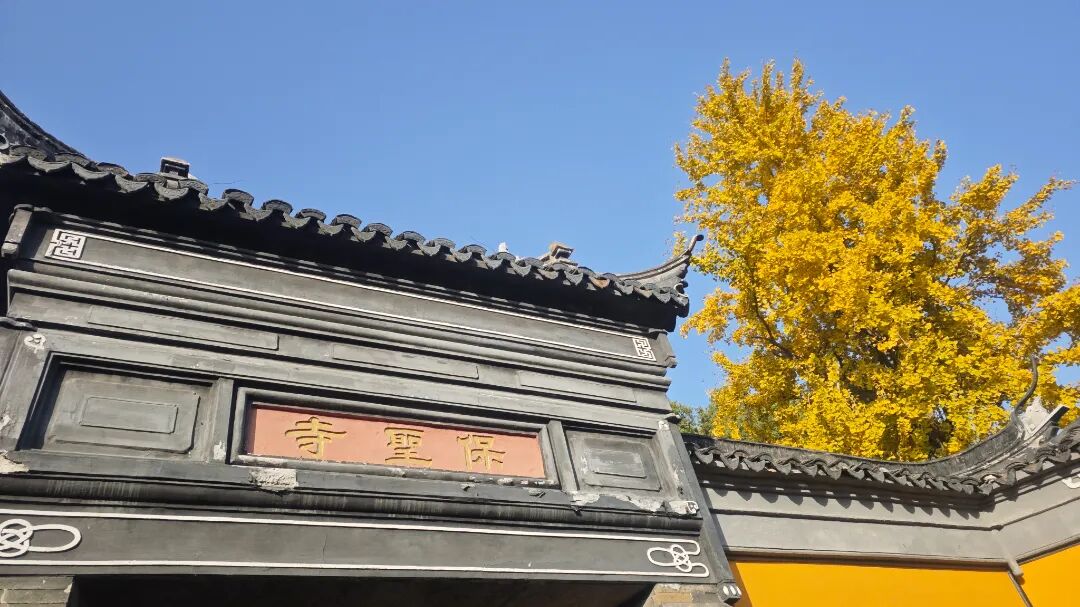 一年一会，甪直的“含金量”还在上升