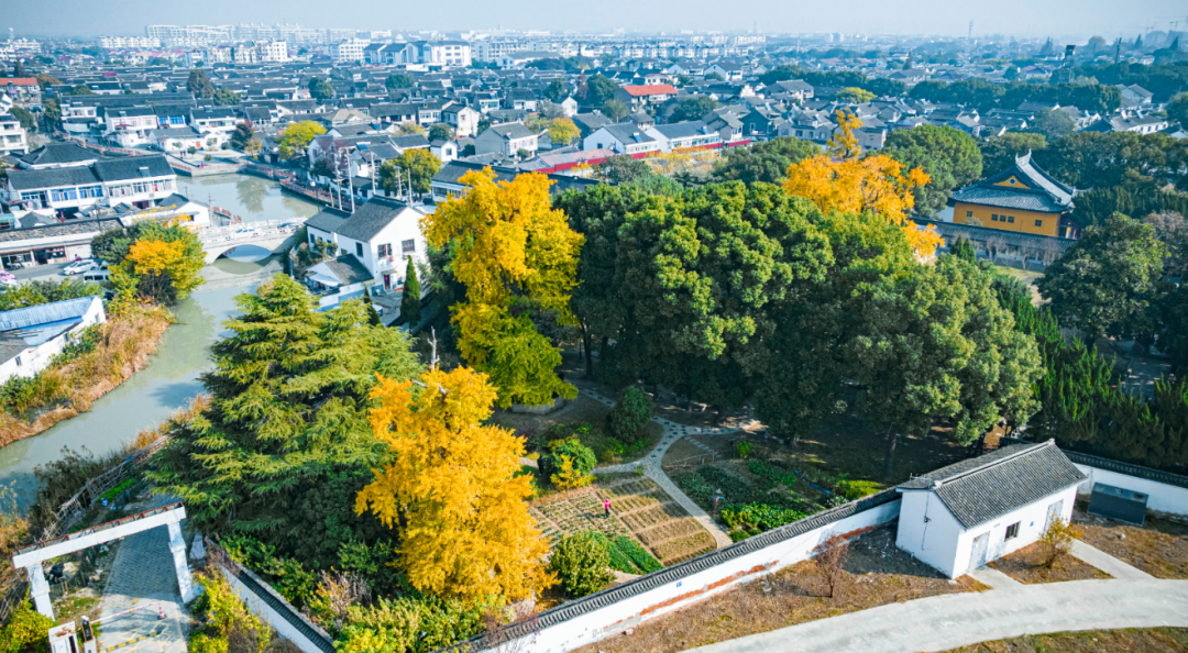 一年一会，甪直的“含金量”还在上升