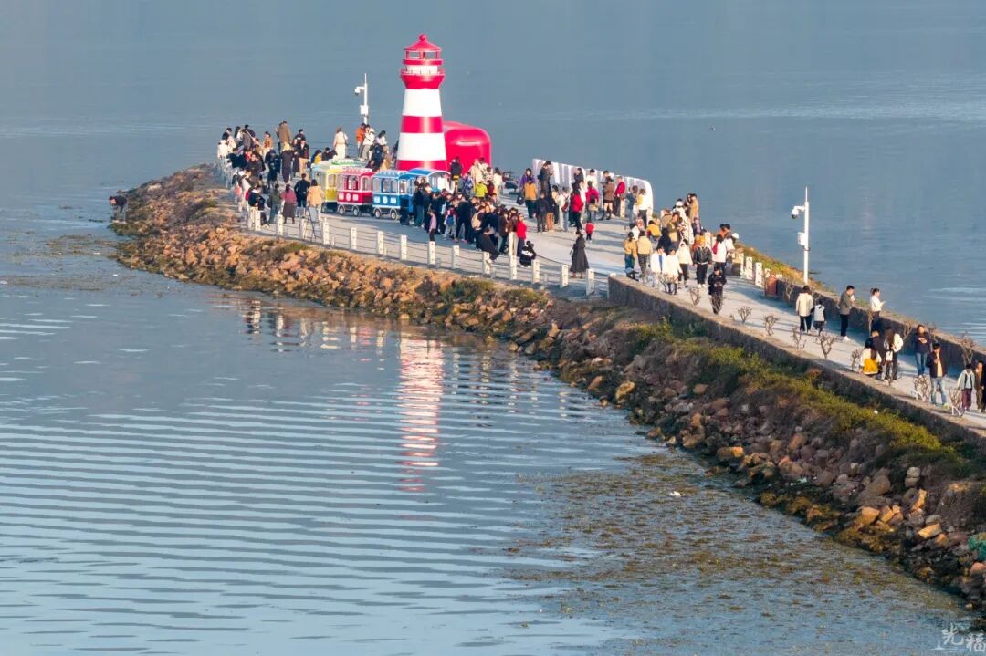 出发！去屿见灯塔看看红嘴鸥！