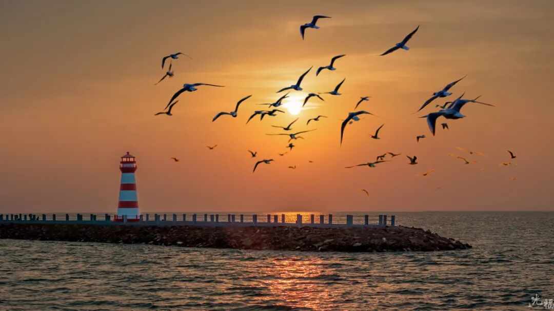 出发！去屿见灯塔看看红嘴鸥！