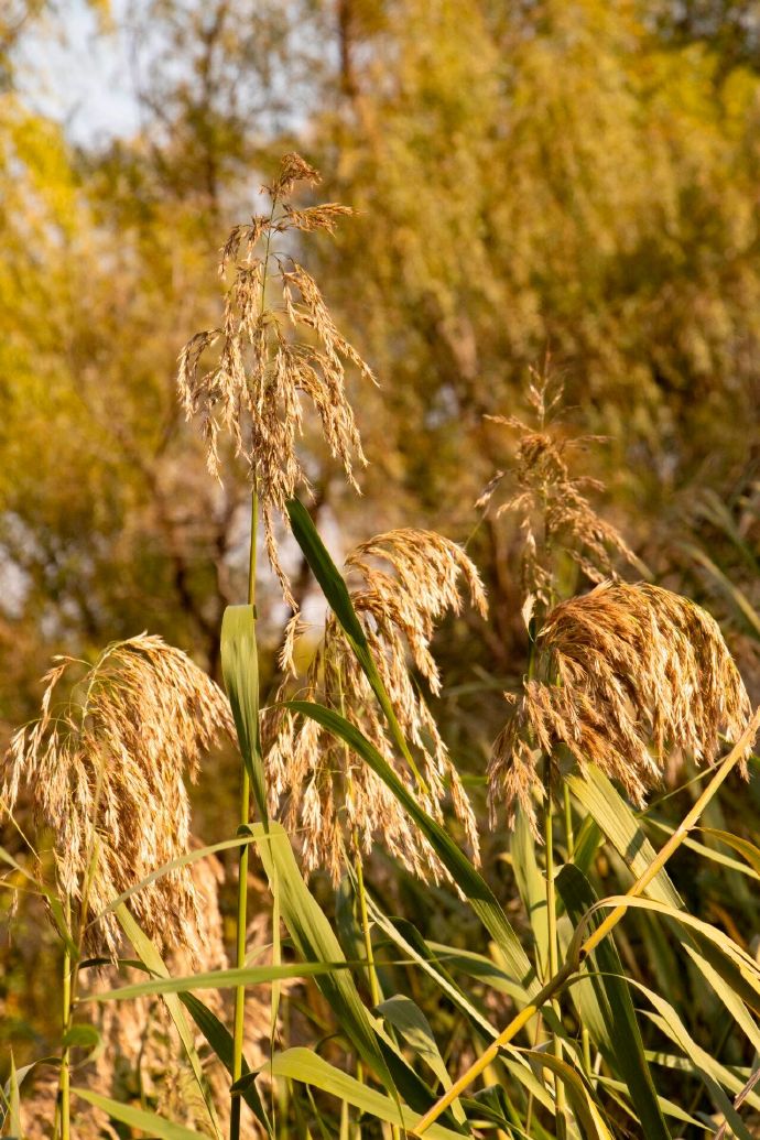 石公山色正斑斓~