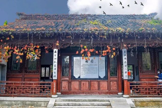 跟随这条线路赏银杏！