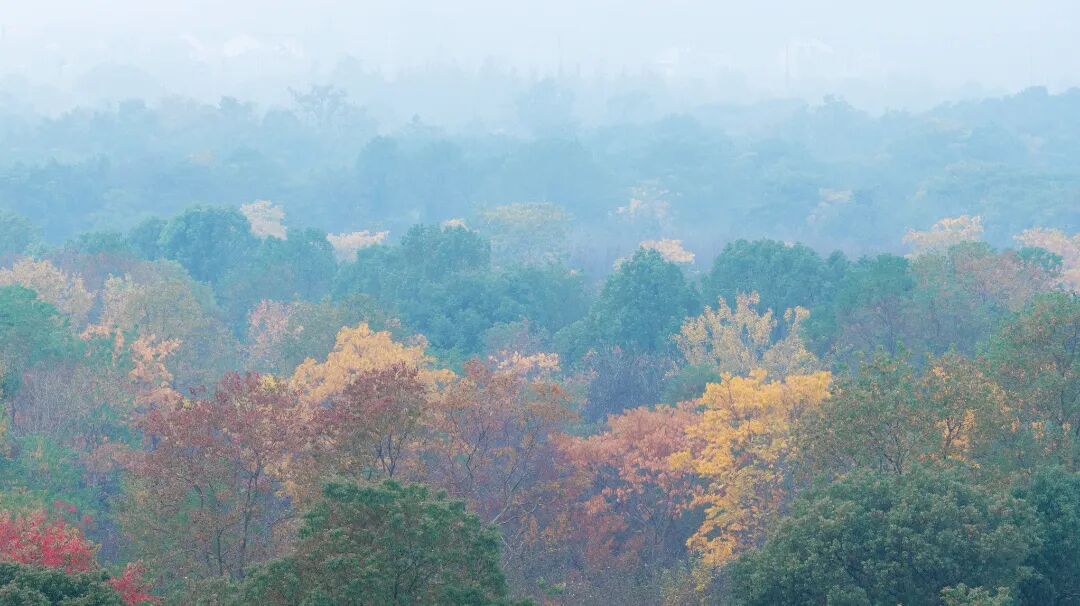 初冬拍照天花板！就在这些地方~