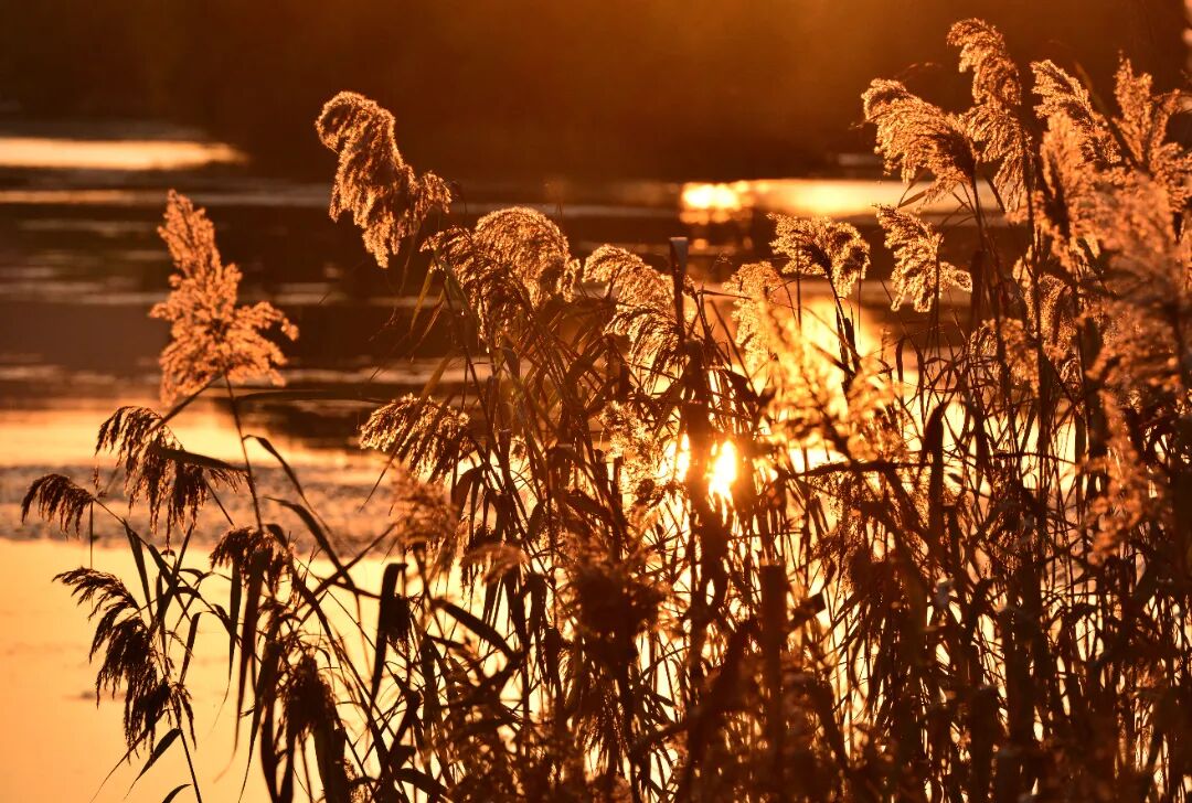 初冬拍照天花板！就在这些地方~