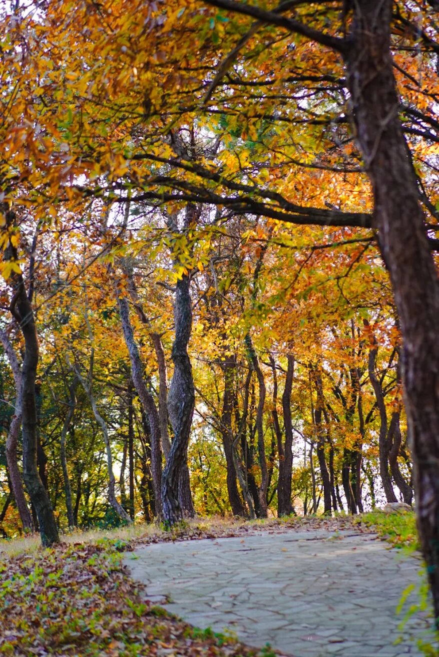 初冬拍照天花板！就在这些地方~