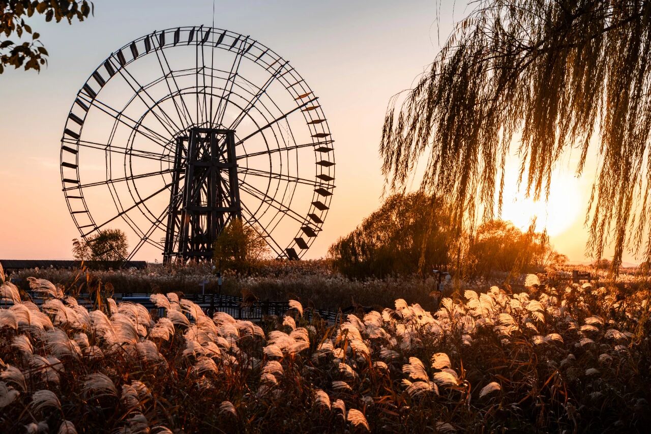 初冬拍照天花板！就在这些地方~