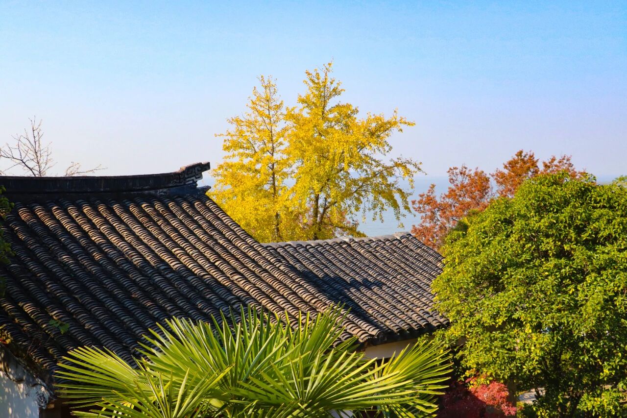 约上骑行搭子,一起在西山岛追风!