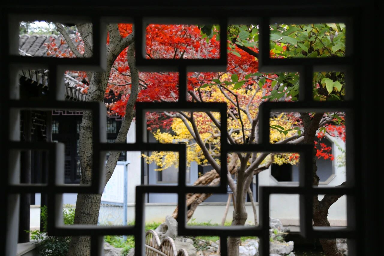 木渎园林的“冬日光影美学”加载中