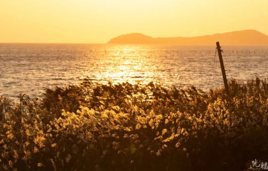 美了美了！诗经里的“雪”落在了这里~