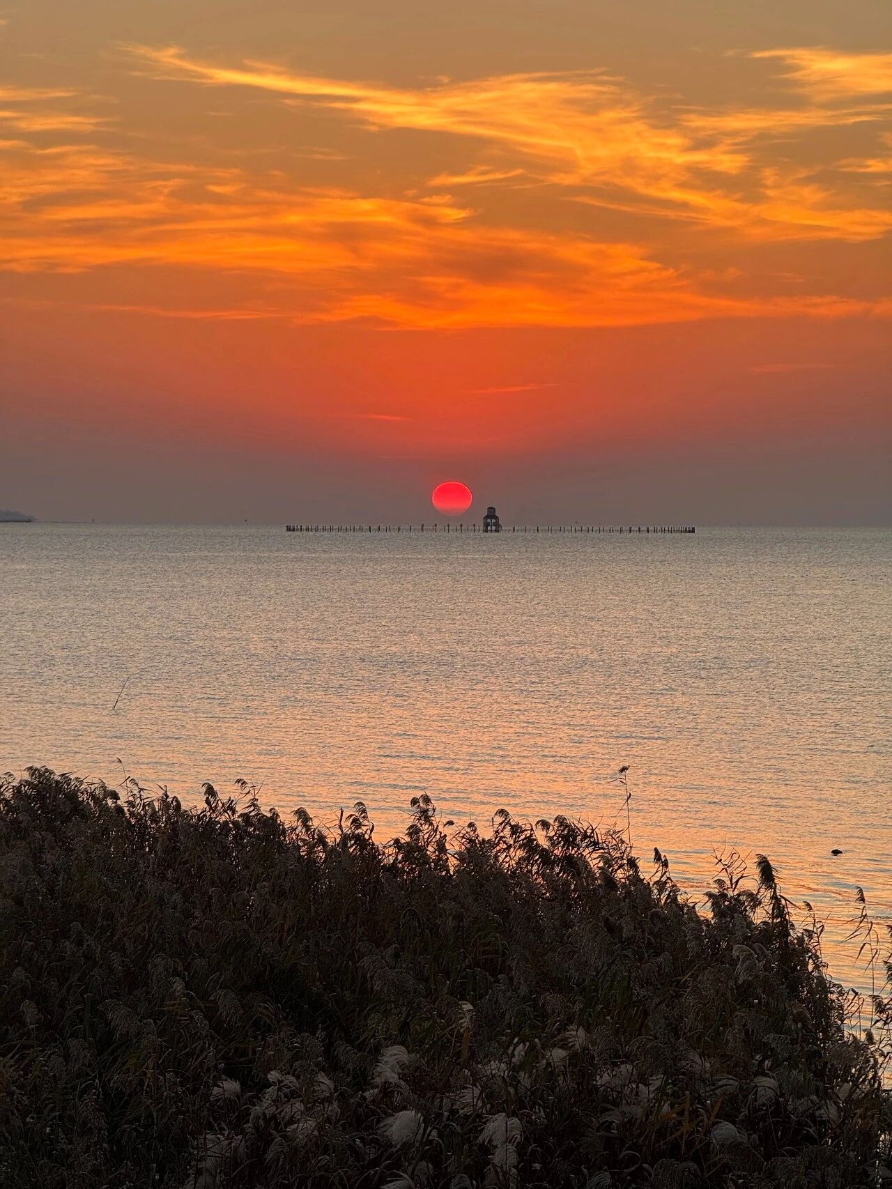 美了美了！诗经里的“雪”落在了这里~