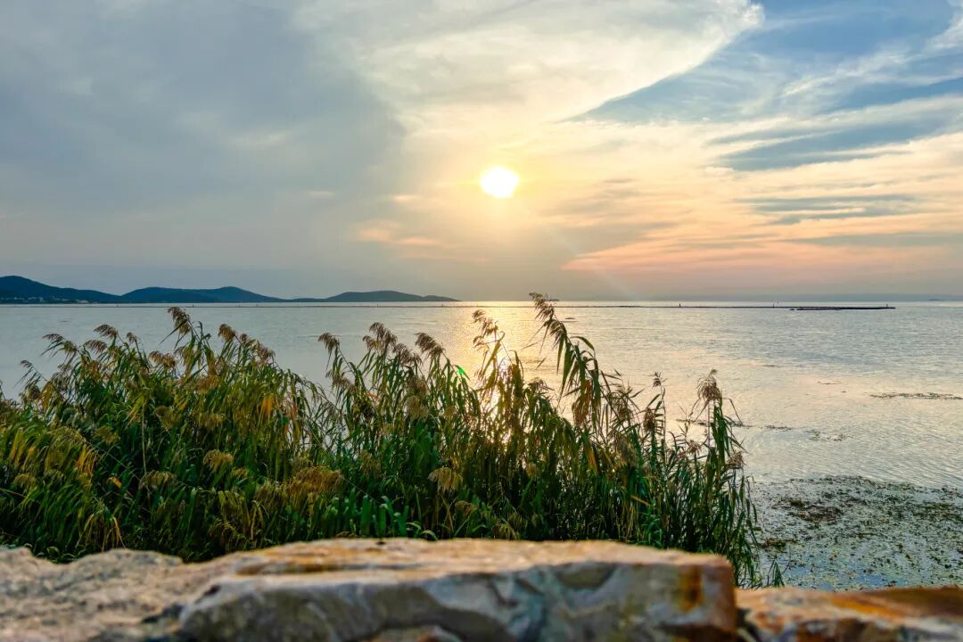 美了美了！诗经里的“雪”落在了这里~