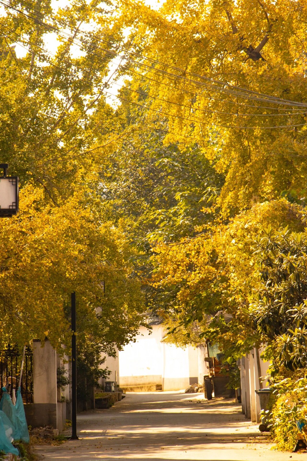 一起去林屋村漫游吧~