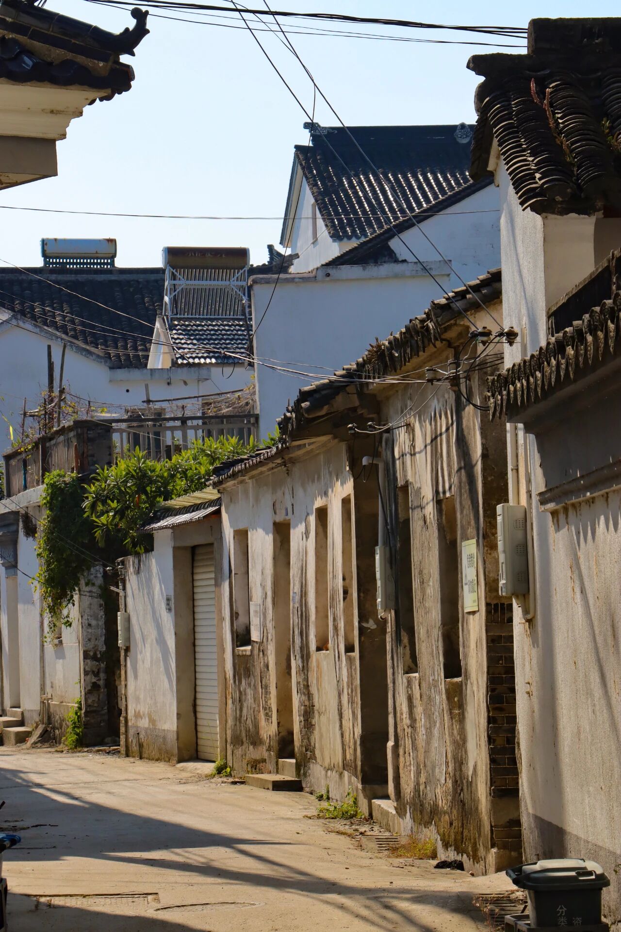 一起去林屋村漫游吧~