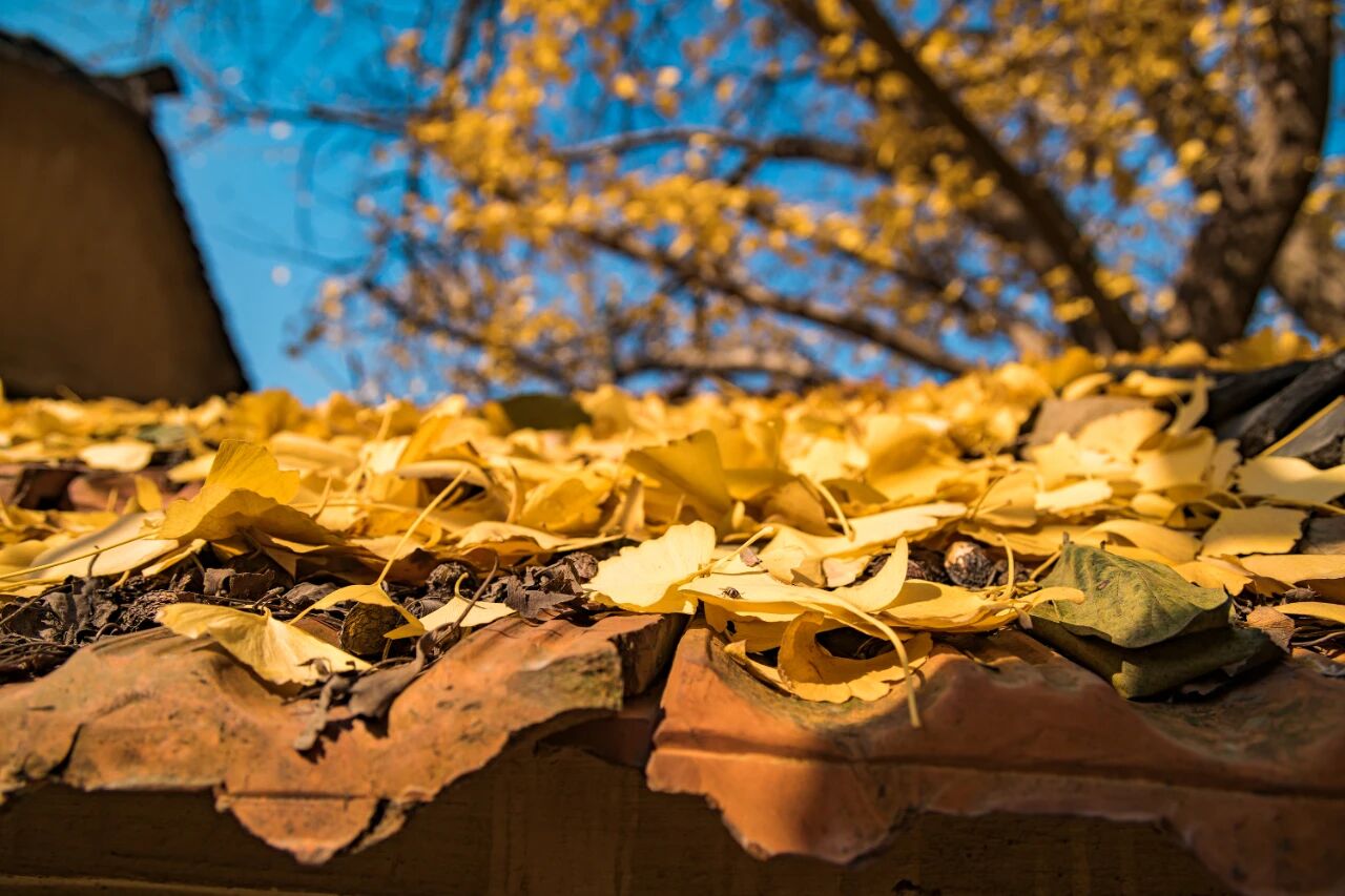 一起去林屋村漫游吧~