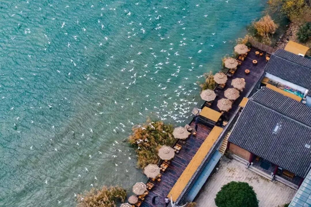 光福一日游·观鸟静心行