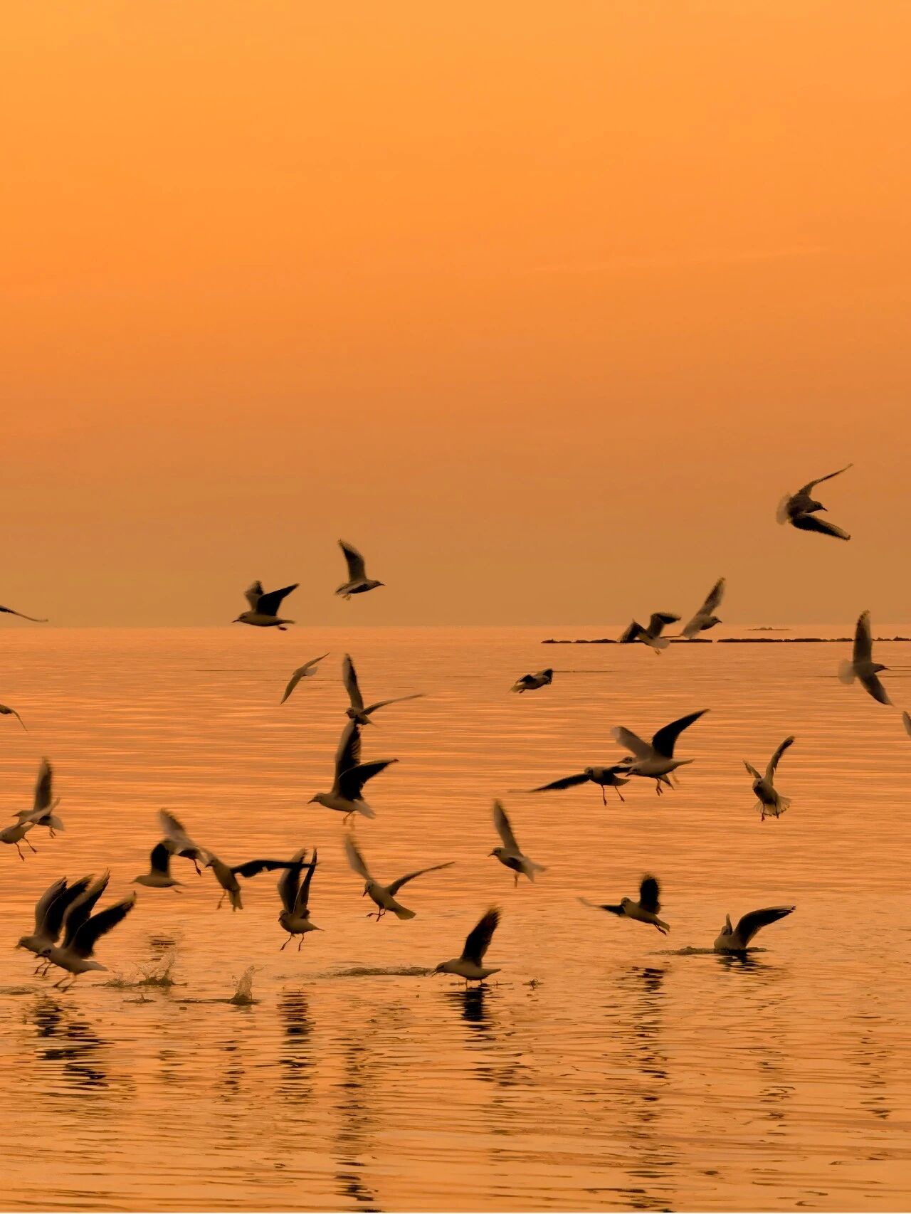 留个傍晚，去西山岛追逐一场绝美的日落~