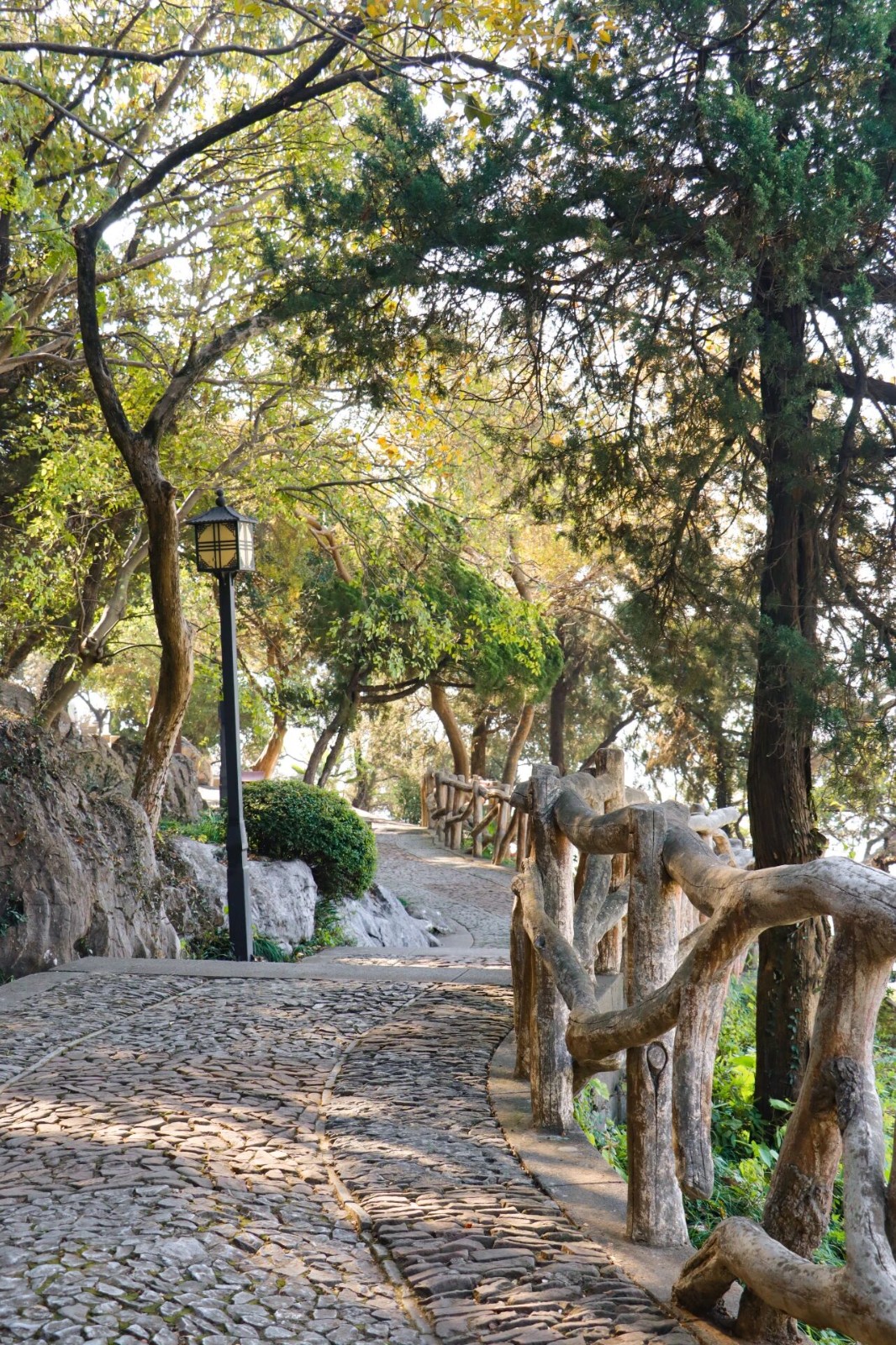 登高望远：解锁湖光山色冬景