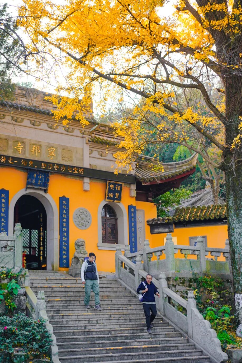 一碗素面一壶茶，这里的冬日暖意刚刚好~