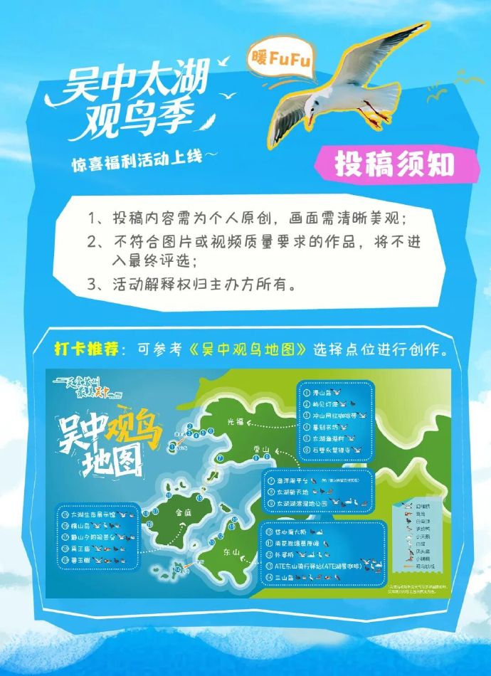 太湖观鸟新玩法！边拍大片边领惊喜福利～