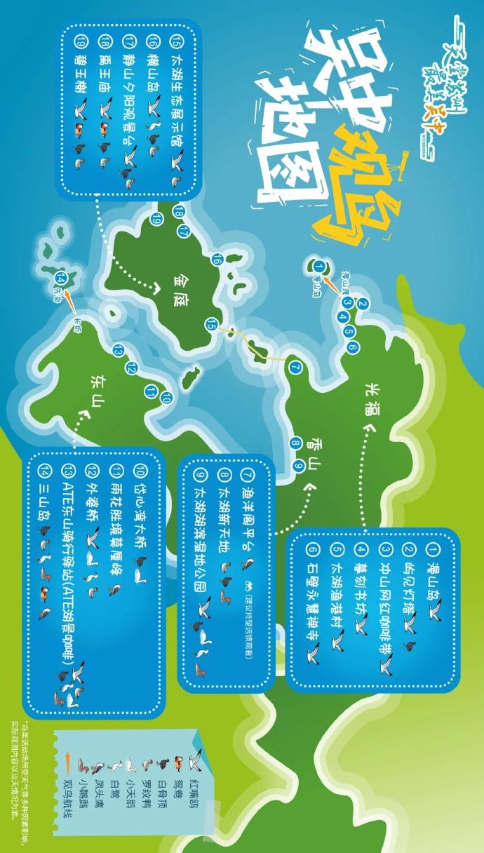 太湖观鸟新玩法！边拍大片边领惊喜福利～