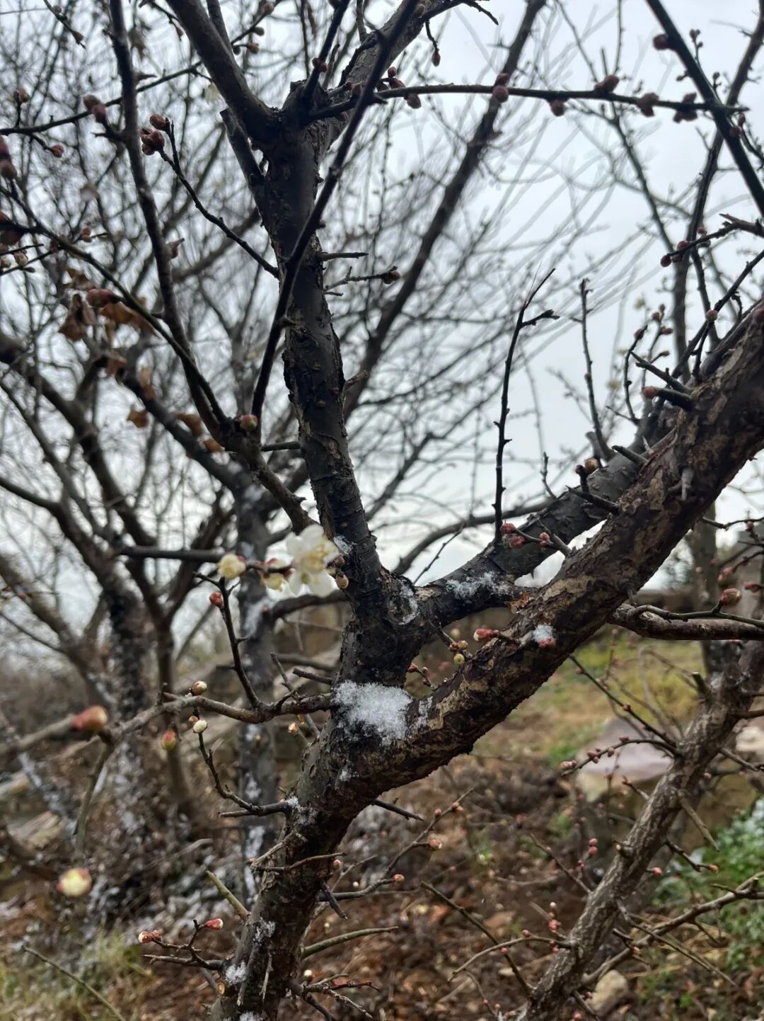 2026，一起向“热爱”出发~