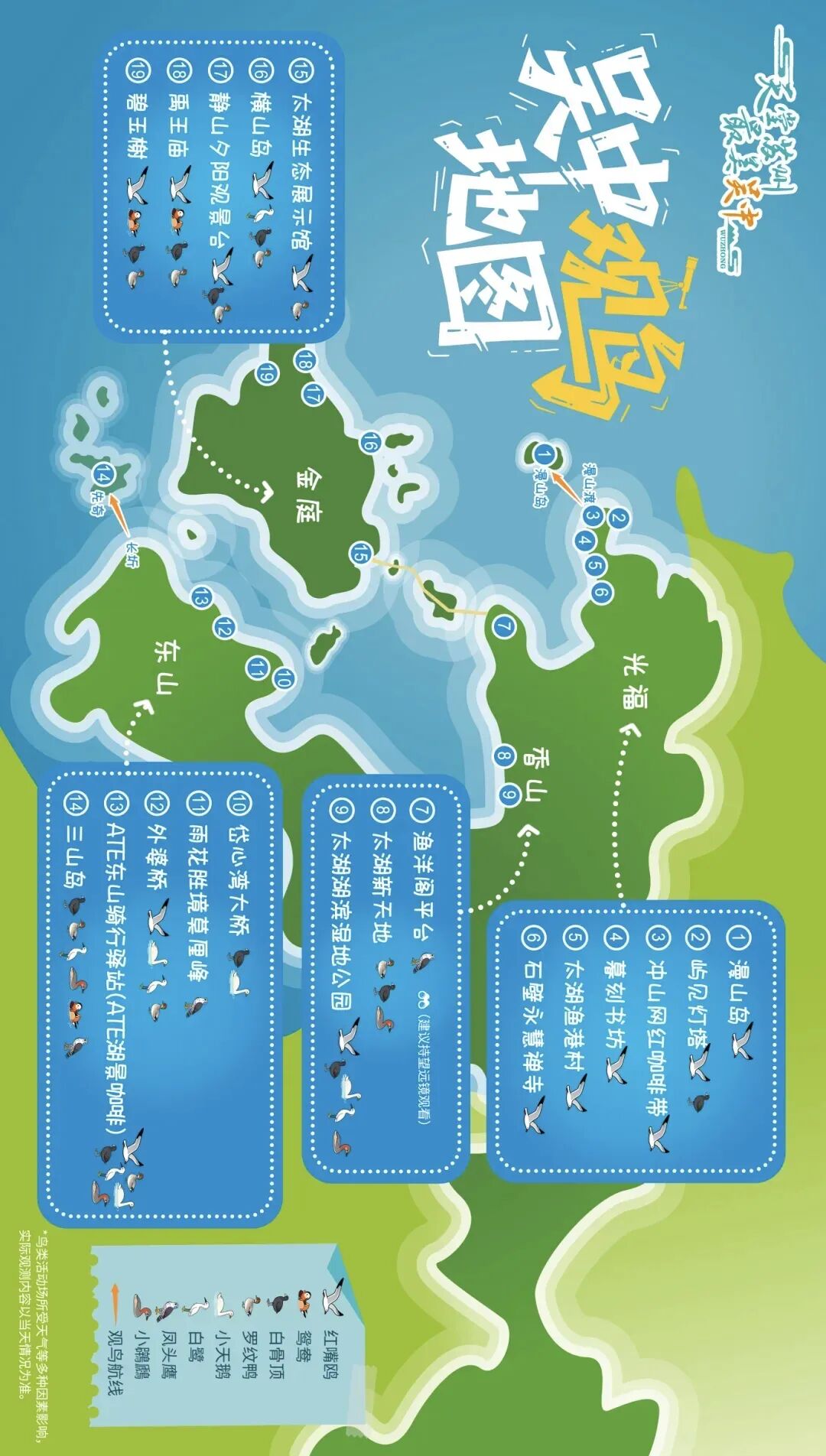 “鸥”气天团人气爆棚！最佳观赏地点帮你总结好了！