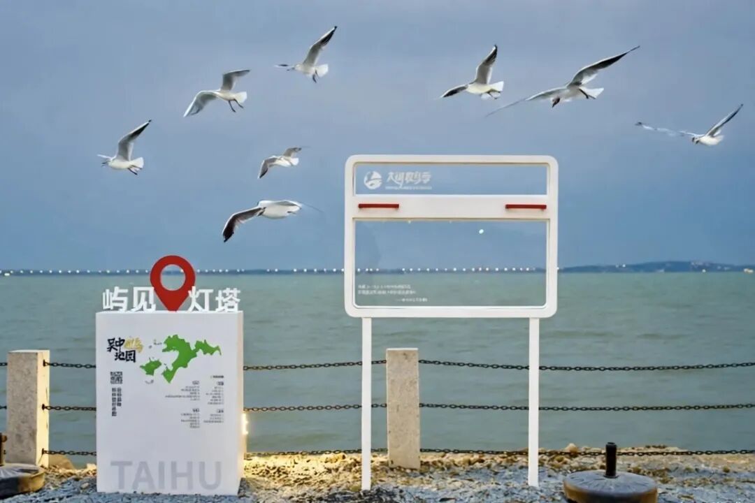 “鸥”气天团人气爆棚！最佳观赏地点帮你总结好了！