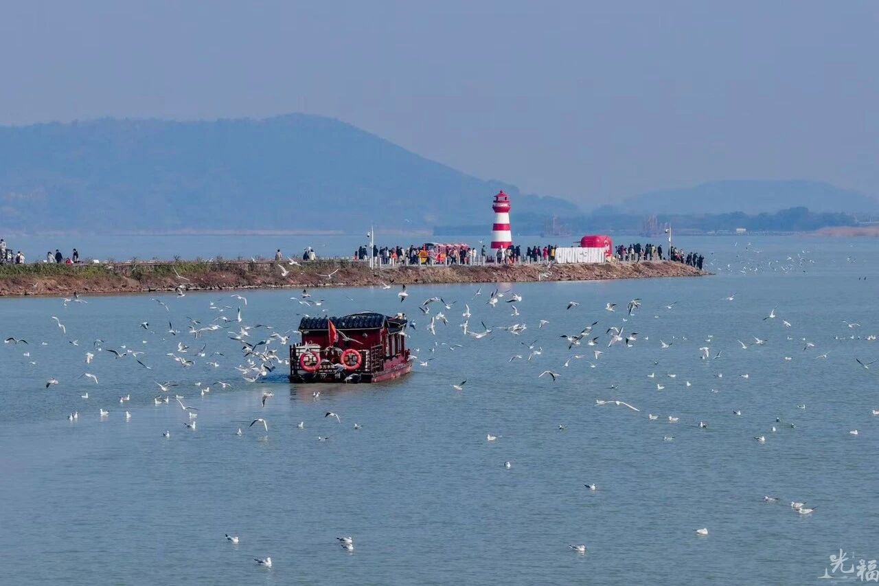光福线：湖山寻梅，长堤观鸟