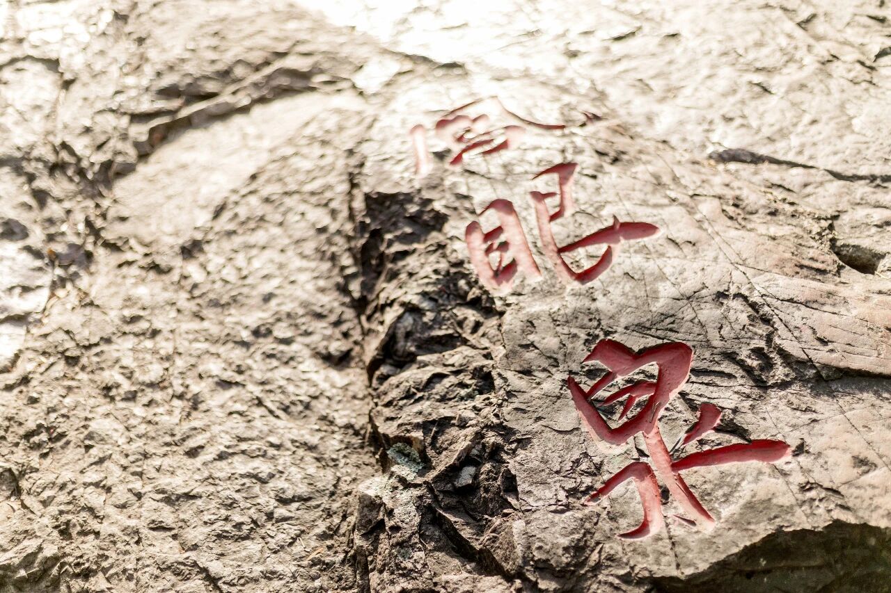 御道寻踪 踏叶听风