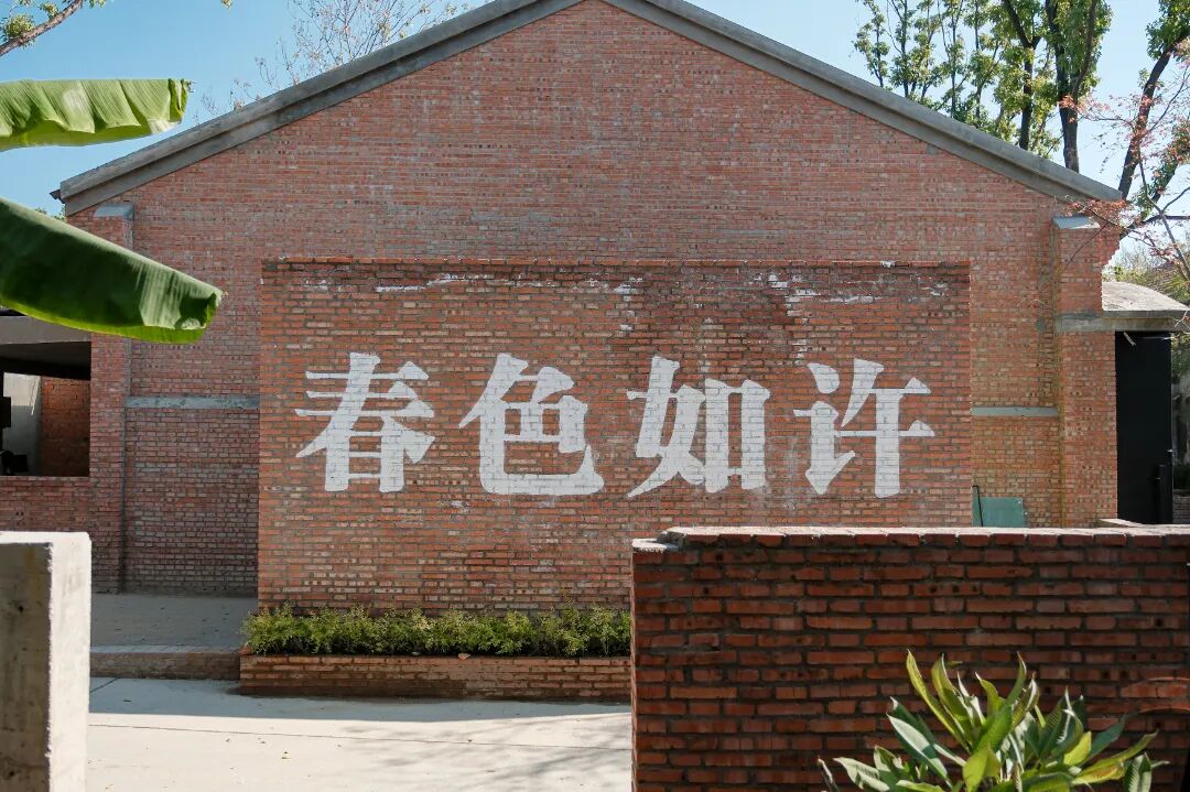 智汇江南！共绘文化产业新篇