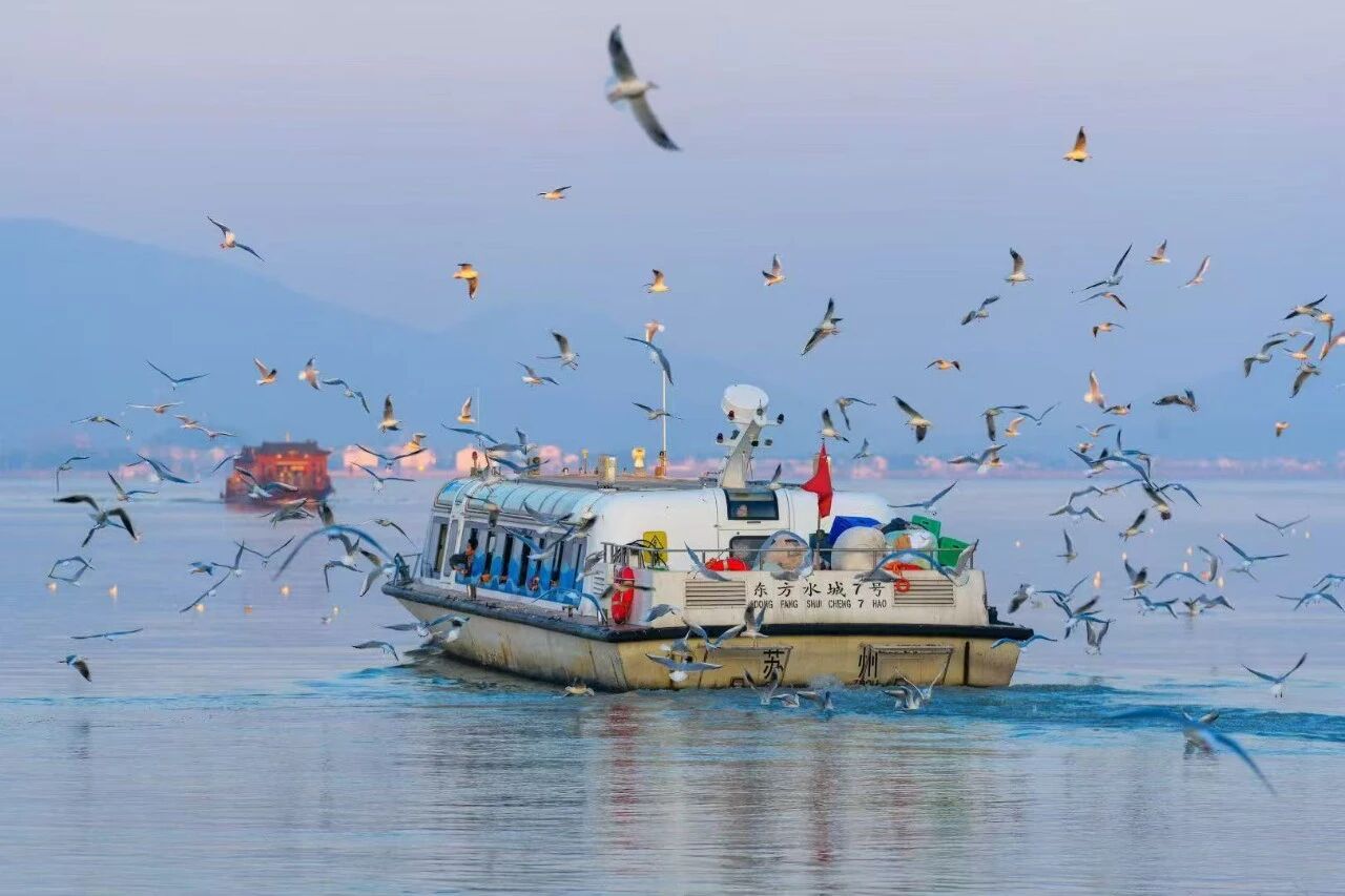 拿好！2026苏州太湖年攻略首发