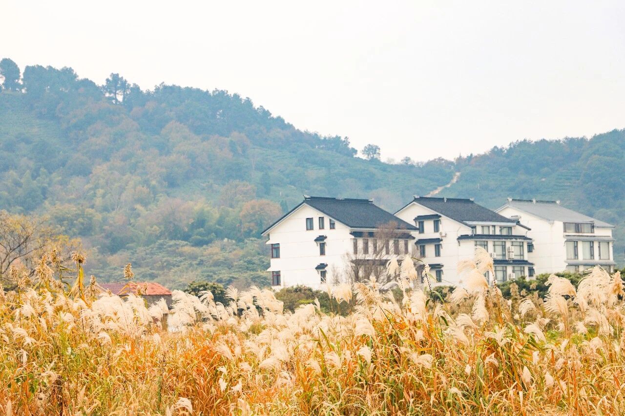 漫步古村，邂逅冬日小确幸