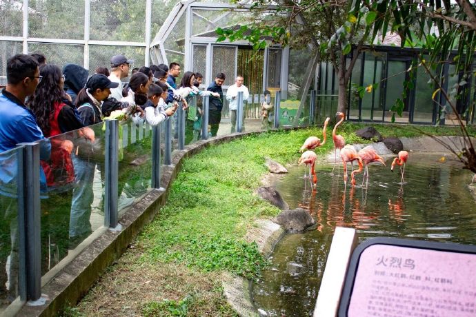 冲鸭！一起快乐研学！