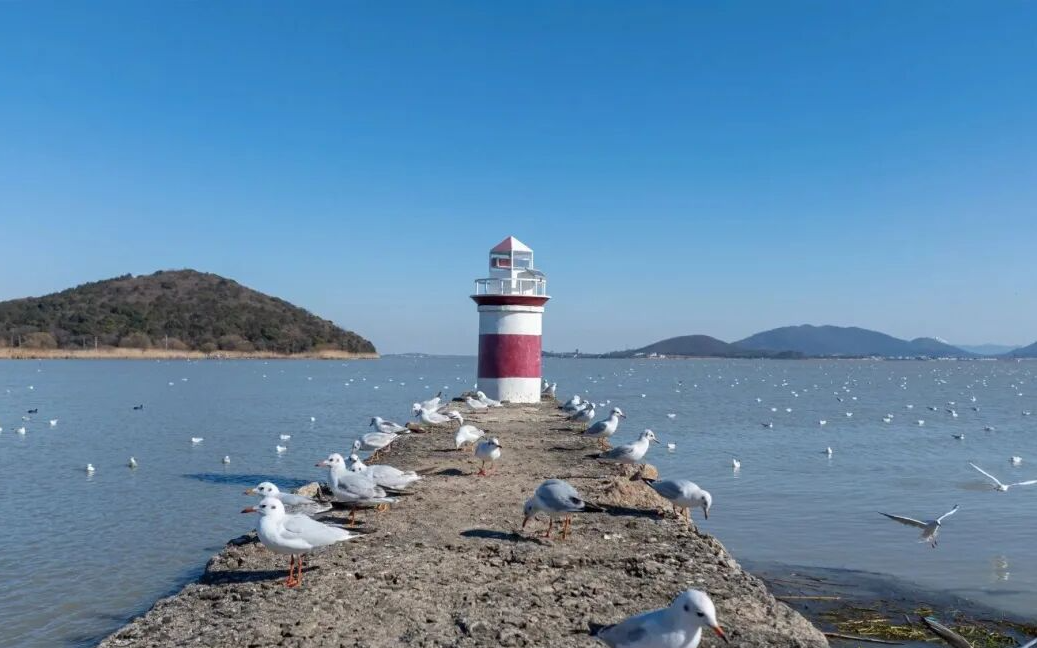 去吴中过大年，这份年味儿别错过！