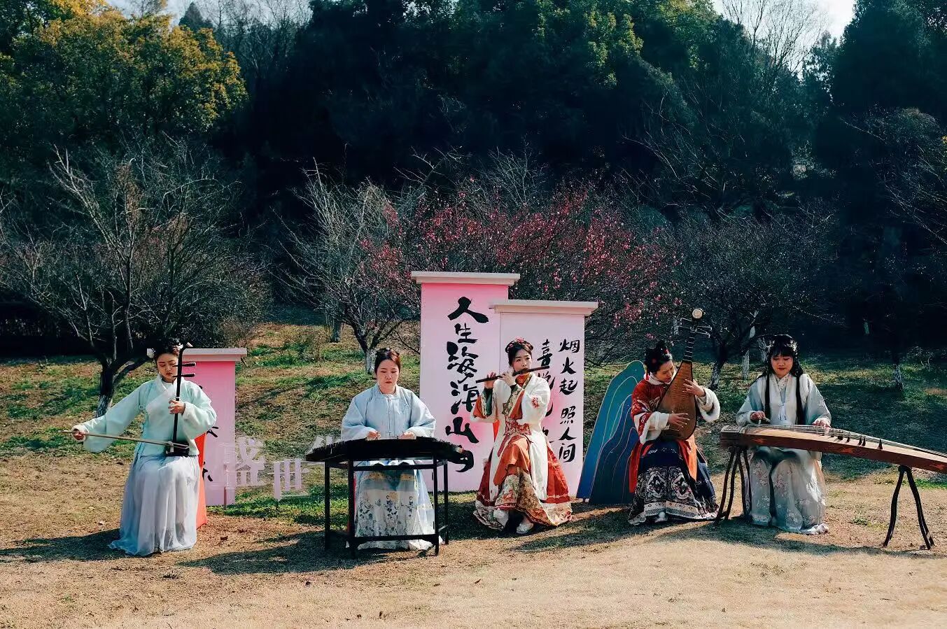 剧透！2026苏州太湖梅花季四大玩法！