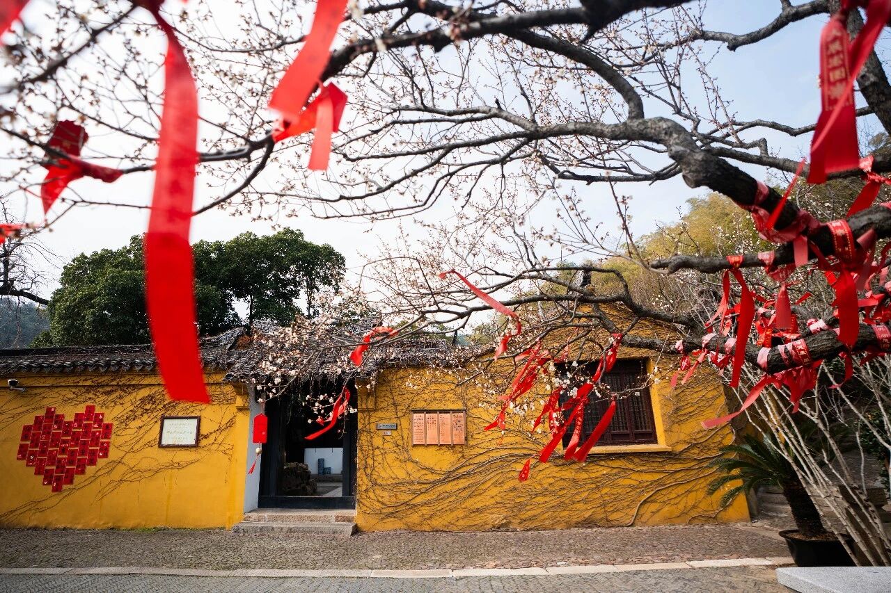 剧透！2026苏州太湖梅花季四大玩法！