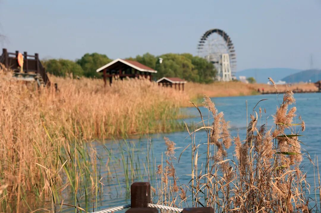 最受游客欢迎！吴中这里榜上有名！