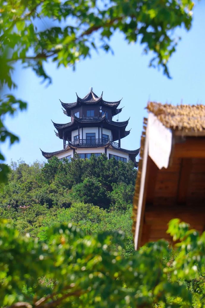 在山巅，许下新年愿景