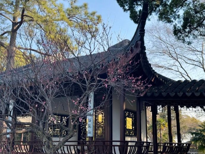 东山赏梅路线推荐~