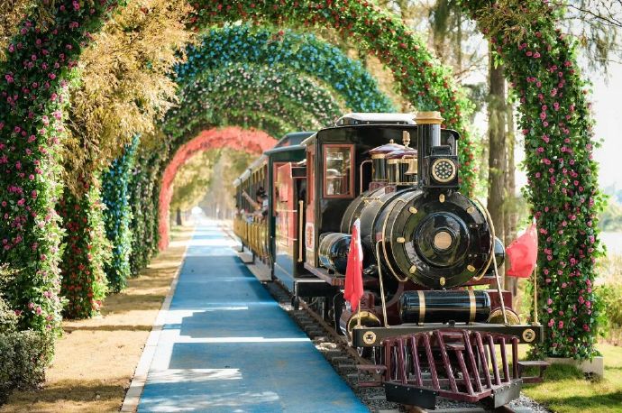 吴中过大年丨走啊！去太湖边过个“慢”年~