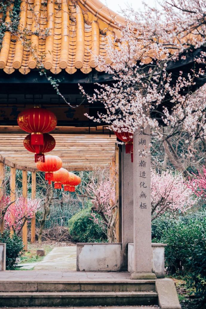 跟着央视春晚《贺花神》寻梅花，这份赏梅地图请收好！