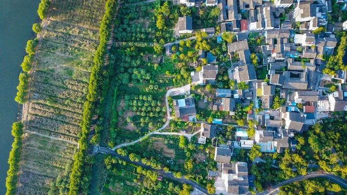 村游去！寻一场有烟火气的年味~