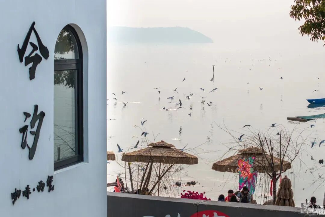 来吴中看“海”，太湖村咖走起！