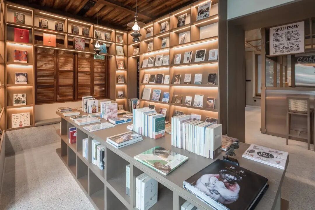 太湖飞羽,吴中观鸟生态之旅